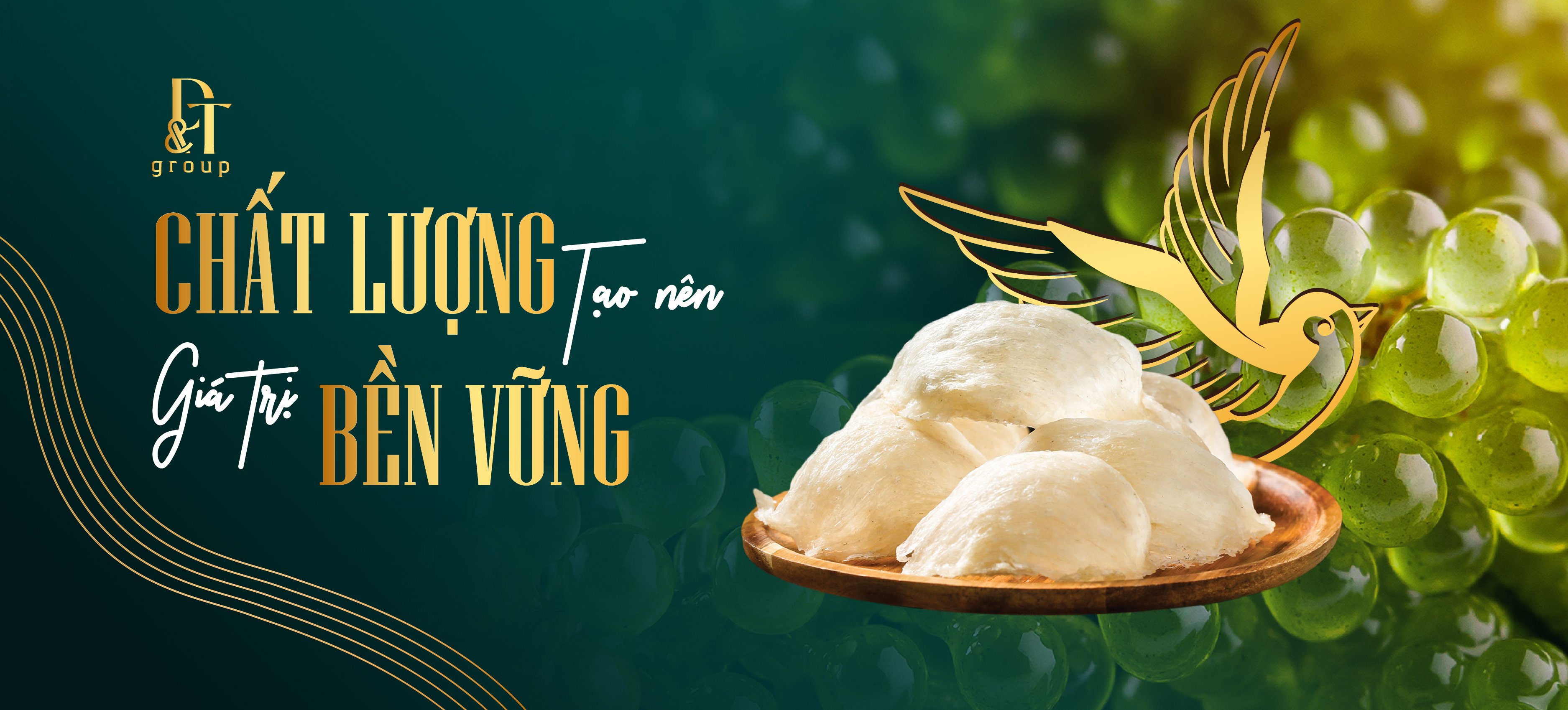 NHÀ MÁY SẢN XUẤT YẾN SÀO – RONG BIỂN DUY TRANG.